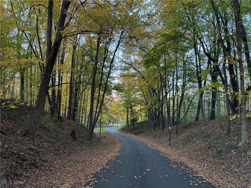 38495 Old State Route 344, Leetonia, OH 44431 Photo 6