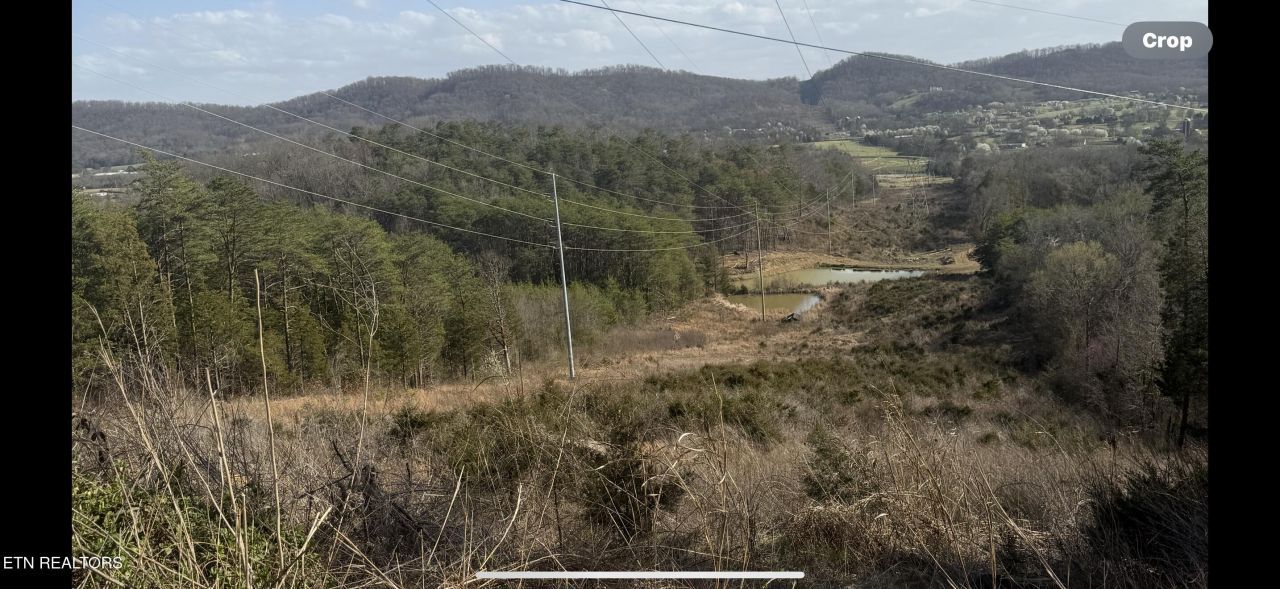 1372 Friends Station Rd, New Market, TN 37820 Main Photo