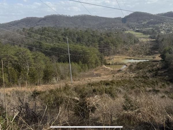 1372 Friends Station Rd, New Market, TN 37820