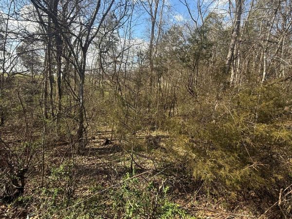 1462 Friends Station Rd, New Market, TN 37820