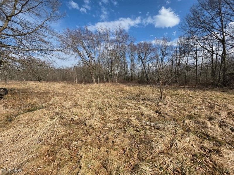 3366 Eagle Creek Road, Leavittsburg, OH 44430 Photo 3