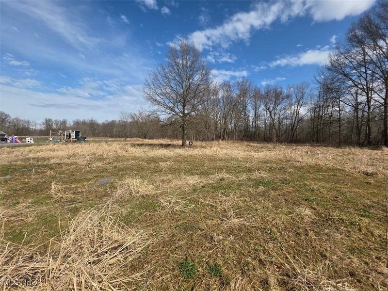 3366 Eagle Creek Road, Leavittsburg, OH 44430 Photo 4