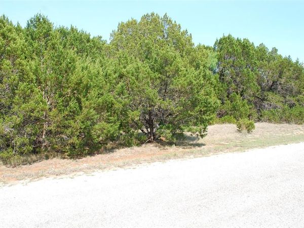 12101 Oak Dale Drive, Whitney, TX 76692