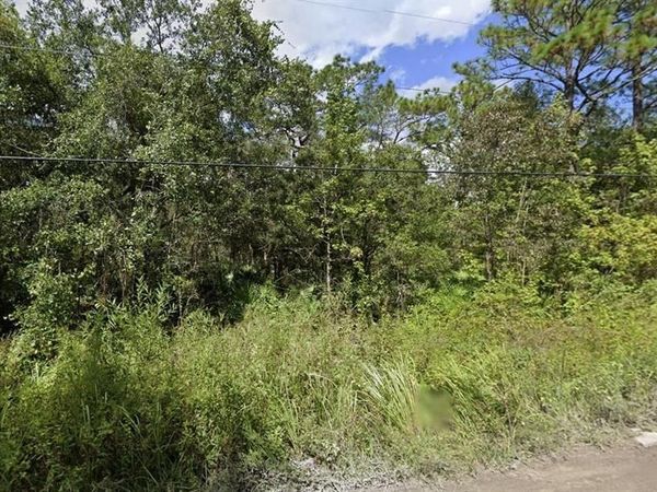00 MORTON STREET, NEW PORT RICHEY, FL 34654