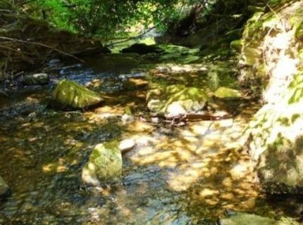 46 Ringtail Rd, Georgetown, CA 95634 Photo