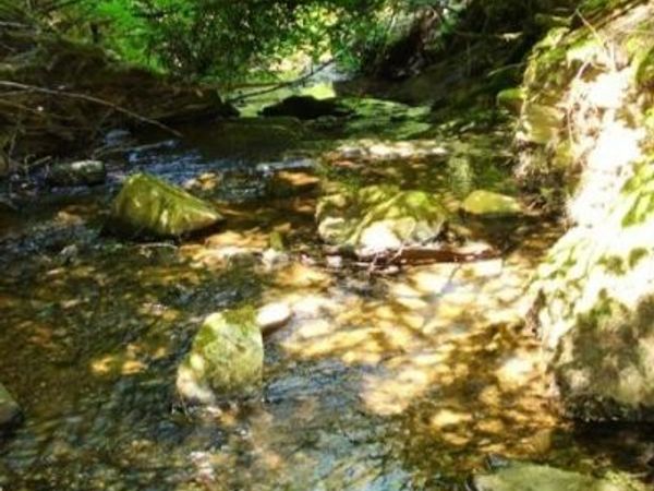 46 Ringtail Rd, Georgetown, CA 95634