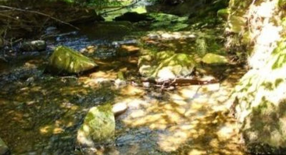 46 Ringtail Rd, Georgetown, CA 95634 Photo