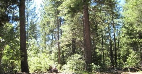 46 Ringtail Rd, Georgetown, CA 95634 Photo