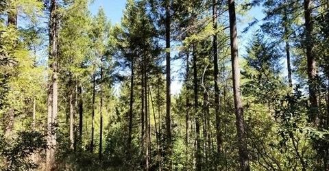 46 Ringtail Rd, Georgetown, CA 95634 Photo