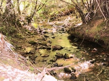 46 Ringtail Rd, Georgetown, CA 95634 Photo