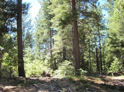 46 Ringtail Rd, Georgetown, CA 95634 Photo