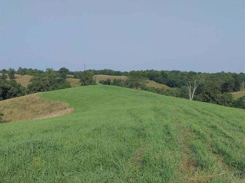 222 Stone Lane, Sadieville, KY 40370 Photo 2