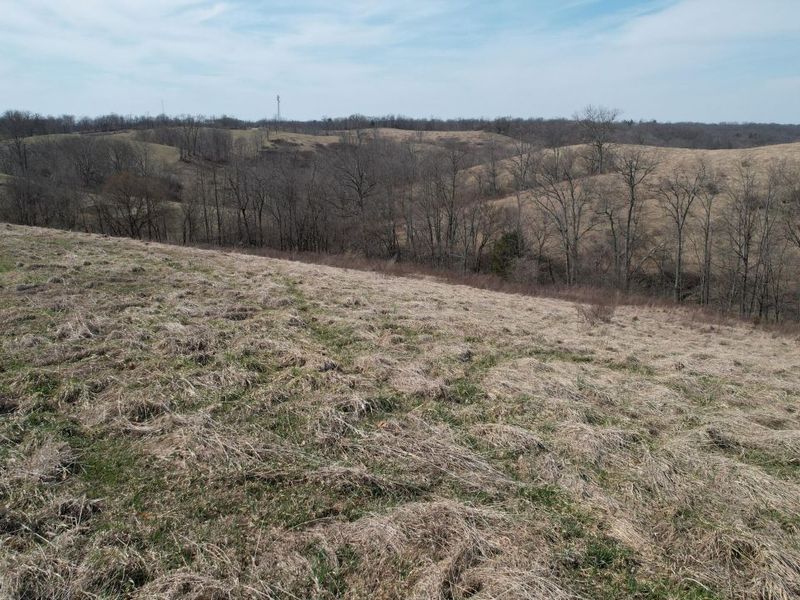 222 Stone Lane, Sadieville, KY 40370 Photo 25