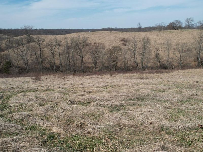 222 Stone Lane, Sadieville, KY 40370 Photo 26
