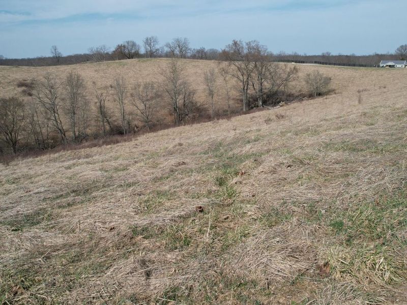 222 Stone Lane, Sadieville, KY 40370 Photo 27