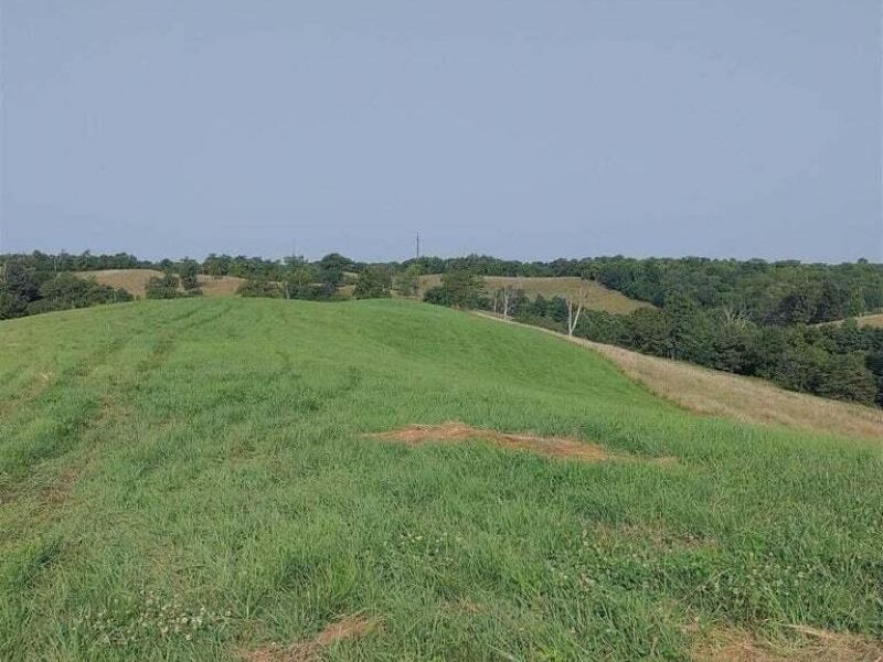 222 Stone Lane, Sadieville, KY 40370 Photo 3