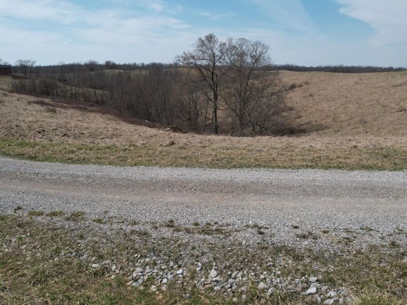 222 Stone Lane, Sadieville, KY 40370 Photo 6