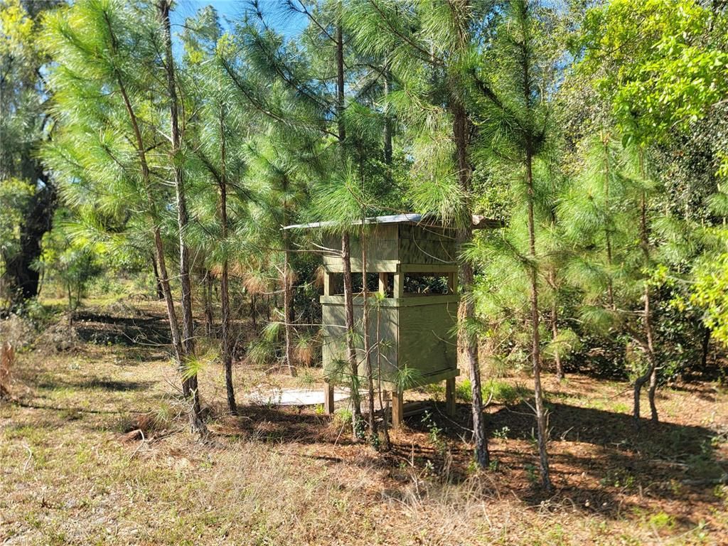 10851 SE 195th Street, Inglis, FL 34449 Photo