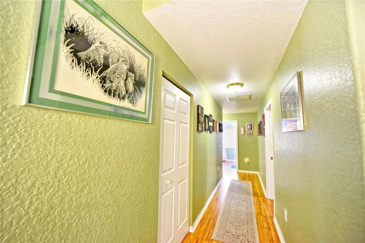 9795 NE 303rd Avenue, Salt Springs, FL 32134 Photo