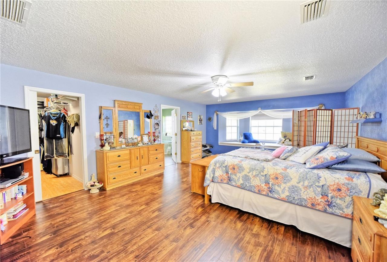 9795 NE 303rd Avenue, Salt Springs, FL 32134 Photo