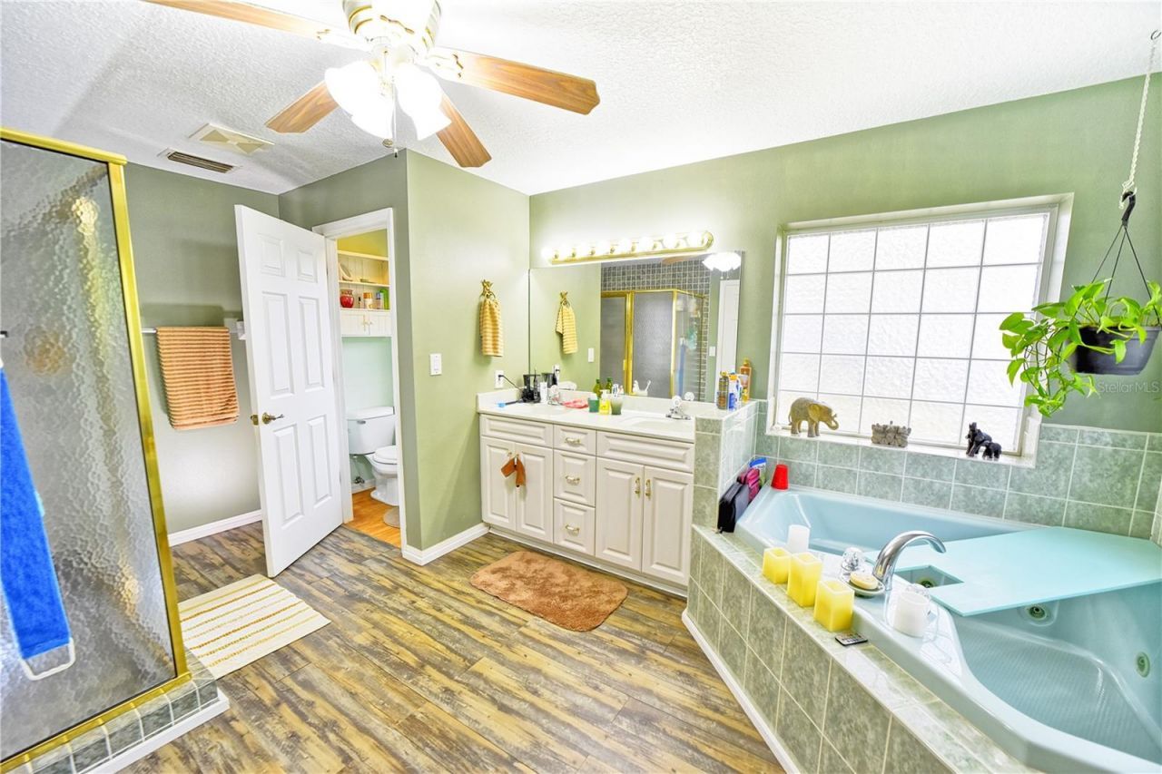 9795 NE 303rd Avenue, Salt Springs, FL 32134 Photo