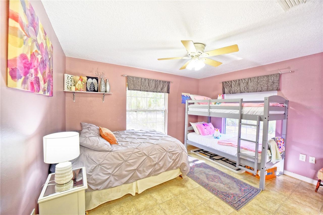 9795 NE 303rd Avenue, Salt Springs, FL 32134 Photo