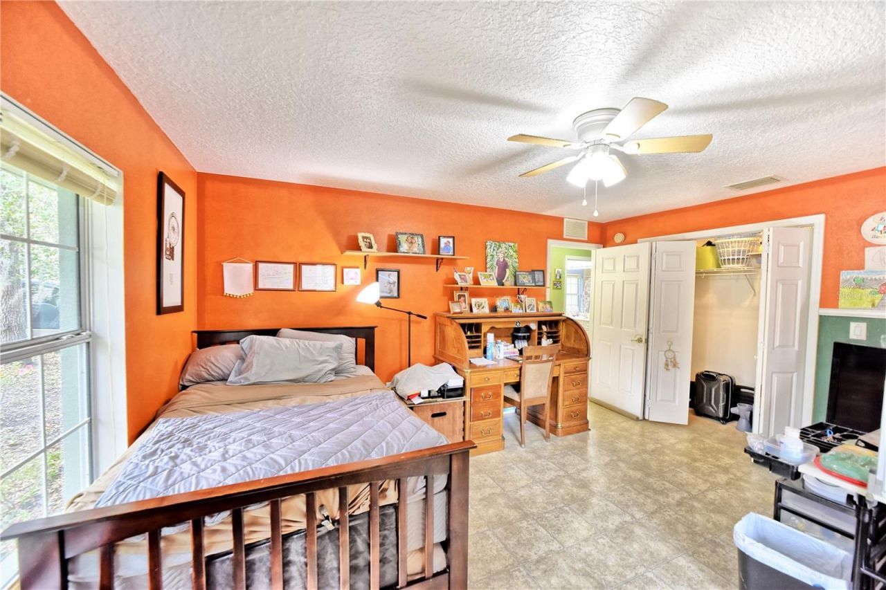 9795 NE 303rd Avenue, Salt Springs, FL 32134 Photo