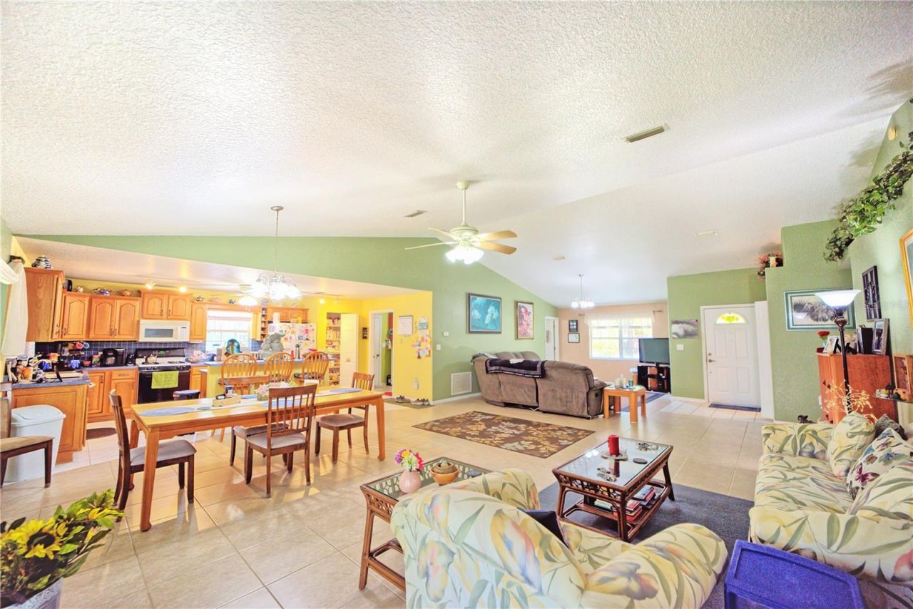 9795 NE 303rd Avenue, Salt Springs, FL 32134 Photo