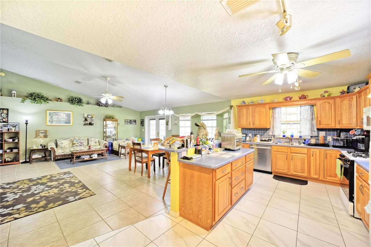 9795 NE 303rd Avenue, Salt Springs, FL 32134 Photo