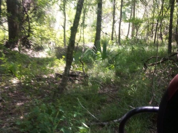 TBD Kathy's Cv, Walker, LA 70785