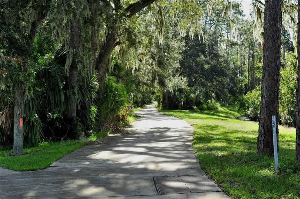 3611 Marisol Court, New Smyrna Beach, FL 32168 Photo