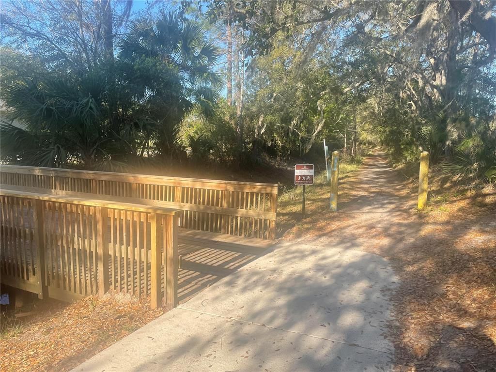 3611 Marisol Court, New Smyrna Beach, FL 32168 Photo