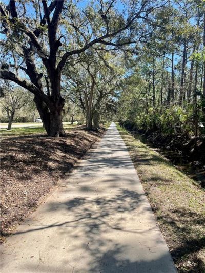 3611 Marisol Court, New Smyrna Beach, FL 32168 Photo