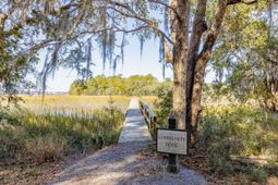 0 Polly Point Road photo 4