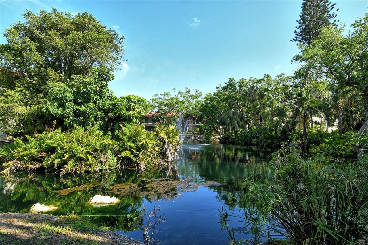 6450 Wild Oak Bay Boulevard, Unit 240, Bradenton, FL 34210 Photo