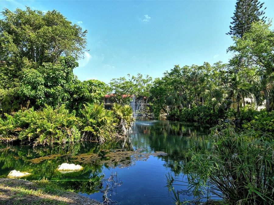 Property Image 56