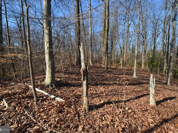 1013 WATERBURY HEIGHTS DRIVE, CROWNSVILLE, MD 21032