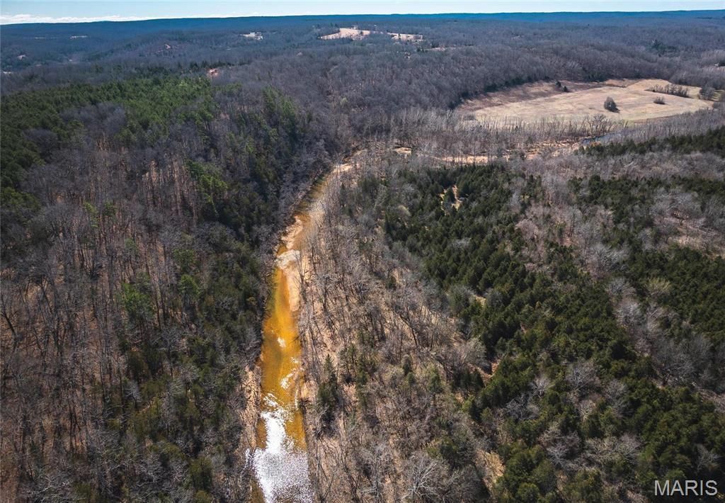 0 Highway Y, Courtois, MO 65565 Main Photo