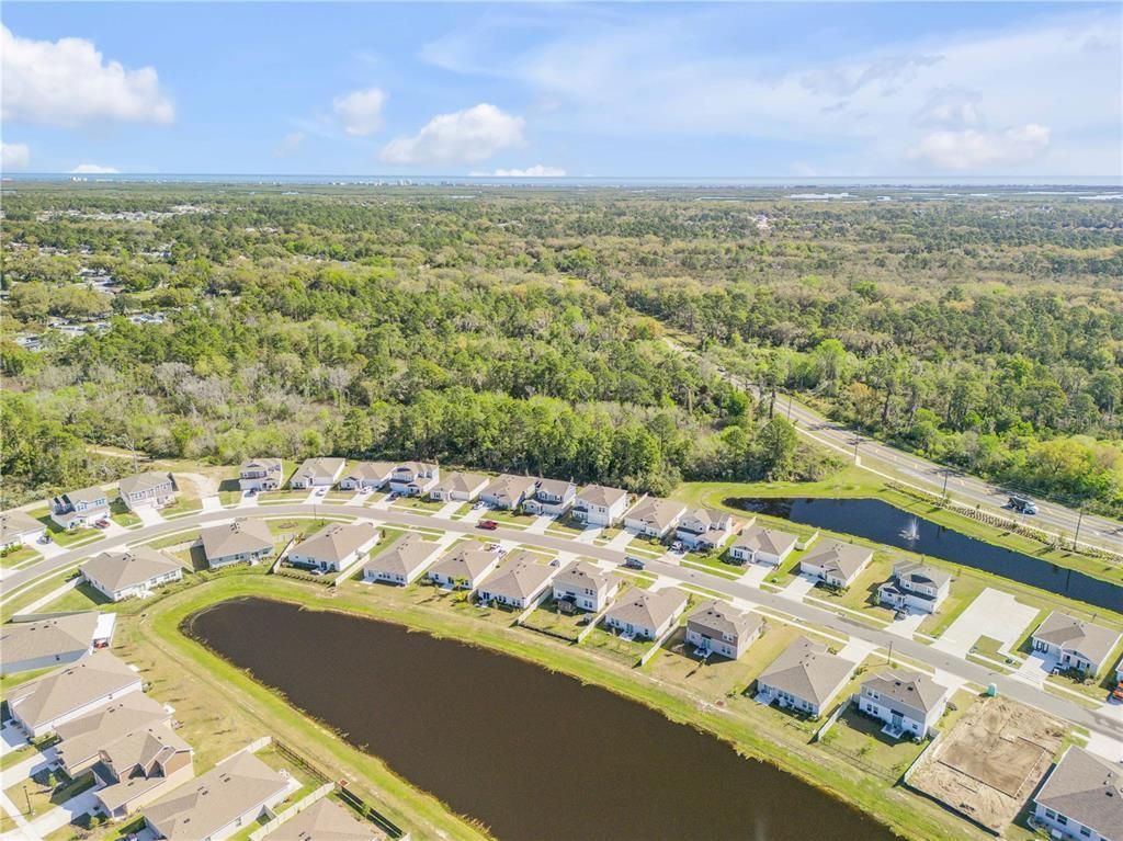 3975 Willowbrook Drive, Edgewater, FL 32141 Photo