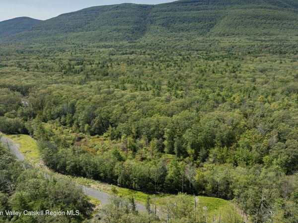 Tbd Mossy Trail , Saugerties, NY 12477