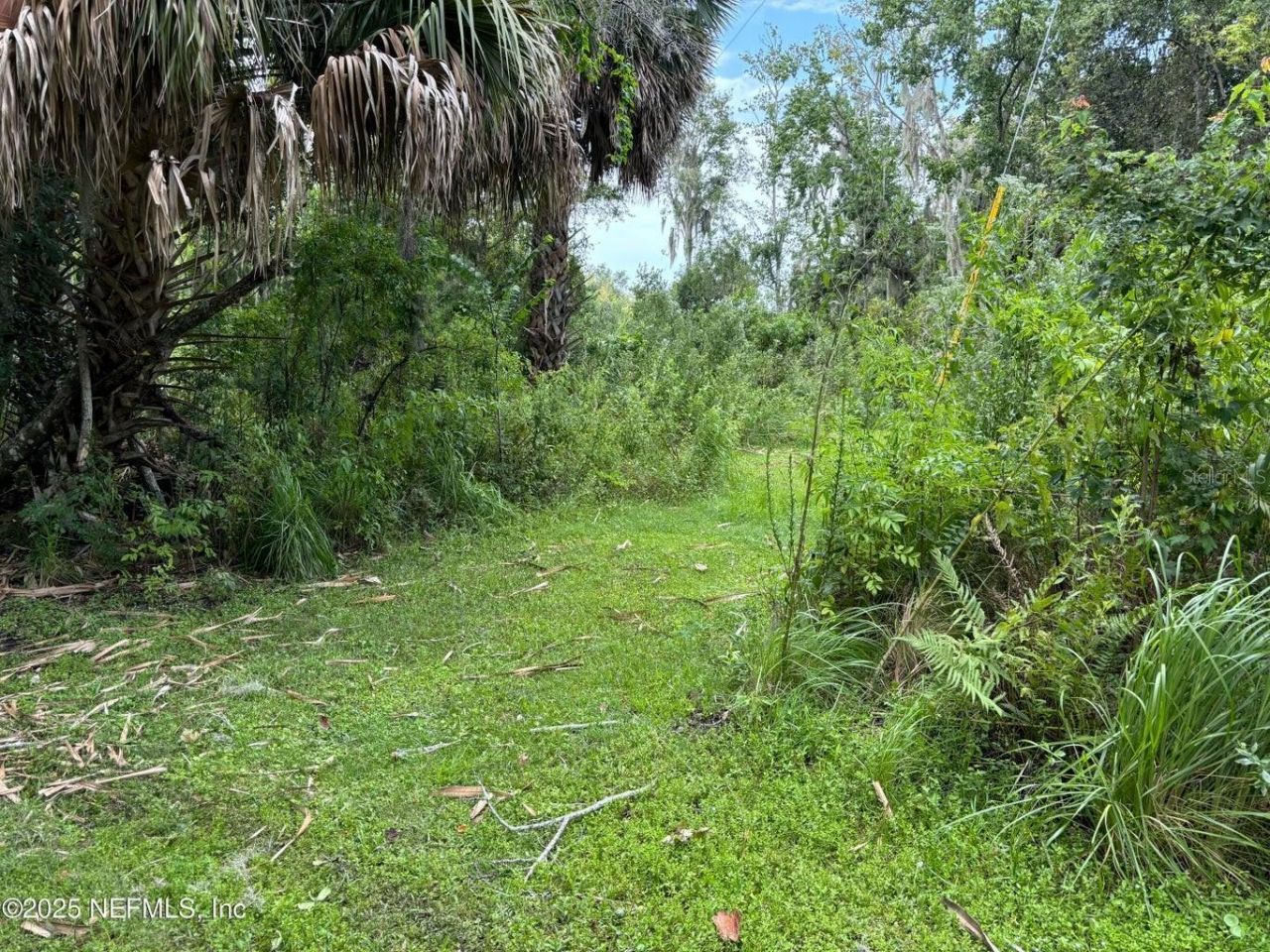 6001 Bird Island Drive, Lady Lake, FL 32159 Photo