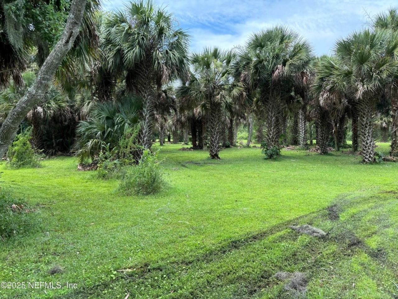 6001 Bird Island Drive, Lady Lake, FL 32159 Photo