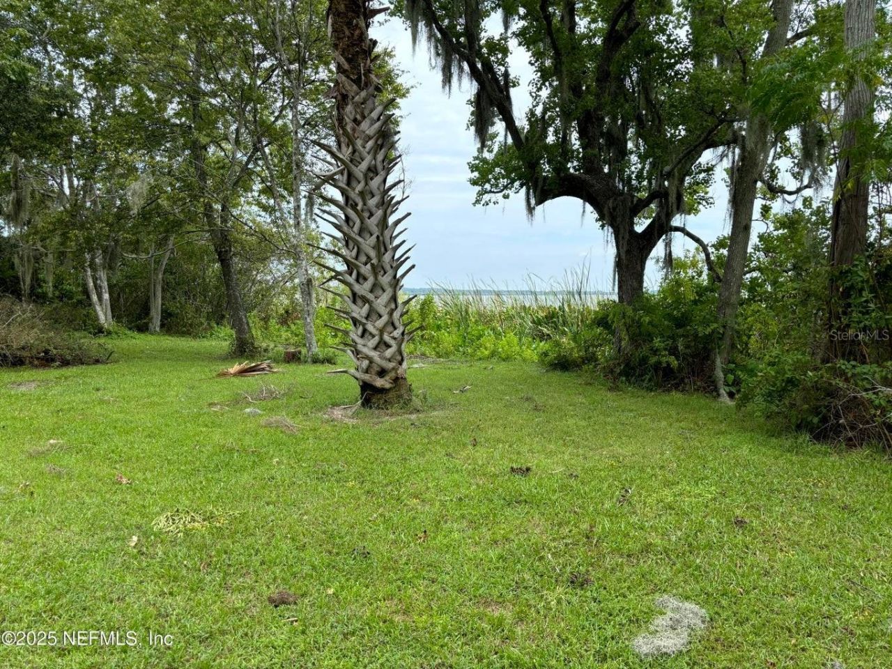 6001 Bird Island Drive, Lady Lake, FL 32159 Photo