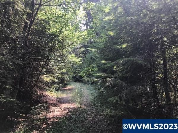 0 Nfd 305 Rd, Sweet Home, OR 97386