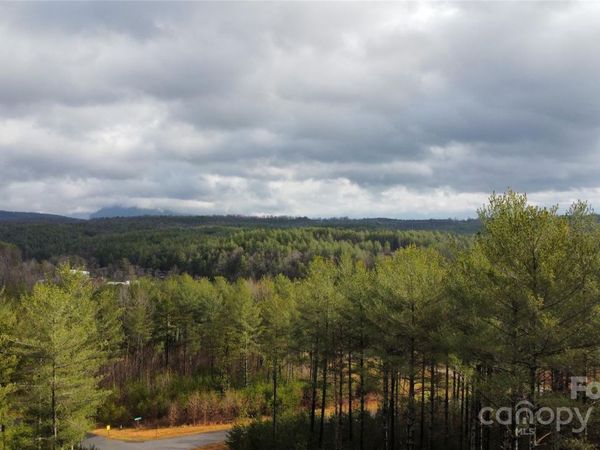 26 Peninsula Reserve Road, Nebo, NC 28761