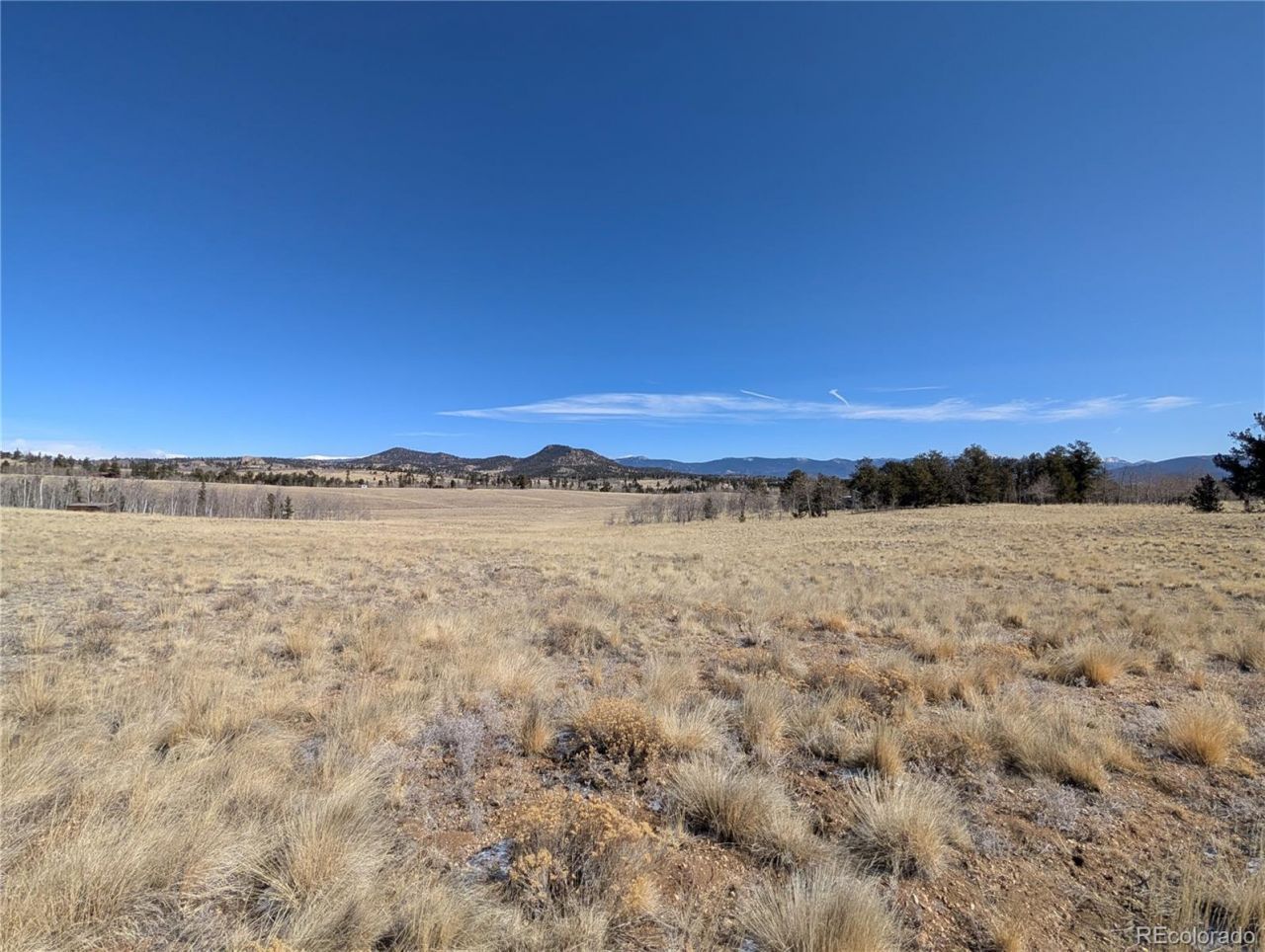 67 Colt Lane, Jefferson, CO 80456 Main Photo