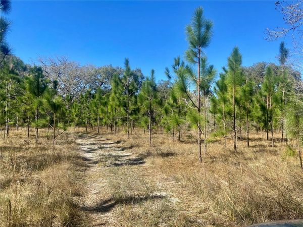 01 UNNAMED, SPRING HILL, FL 34610