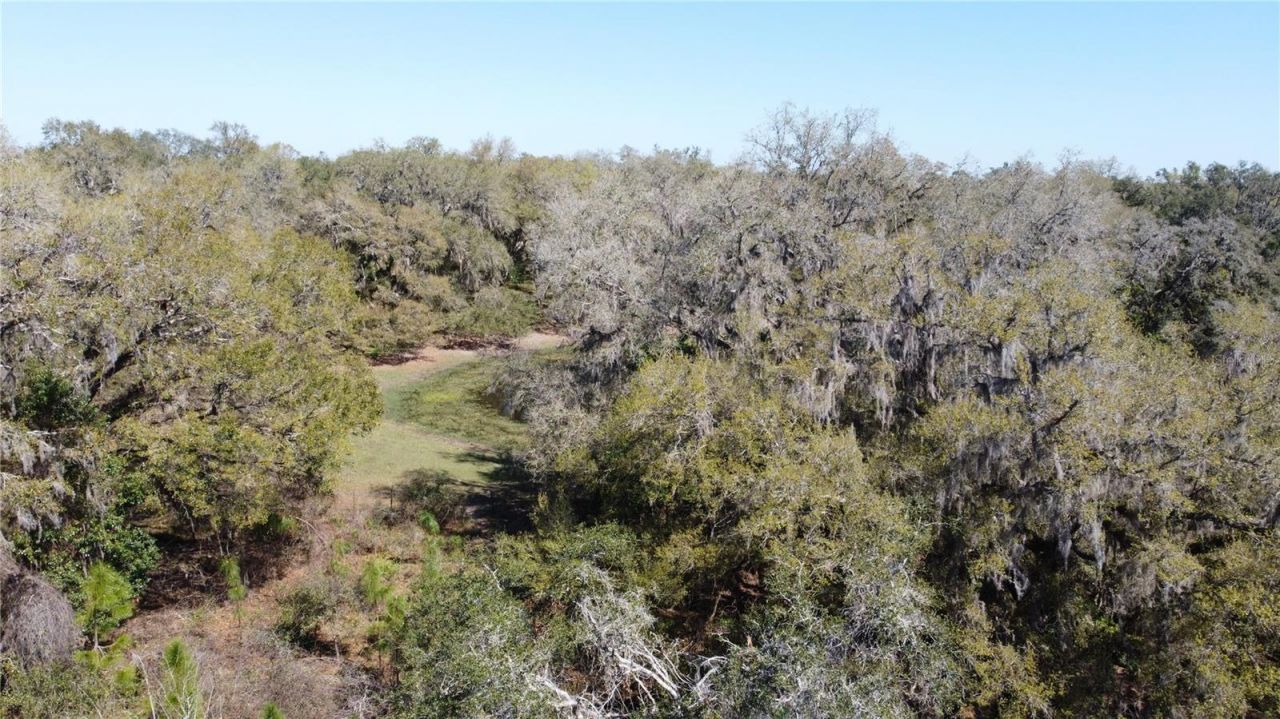 01 Unnamed, Spring Hill, FL 34610 Photo
