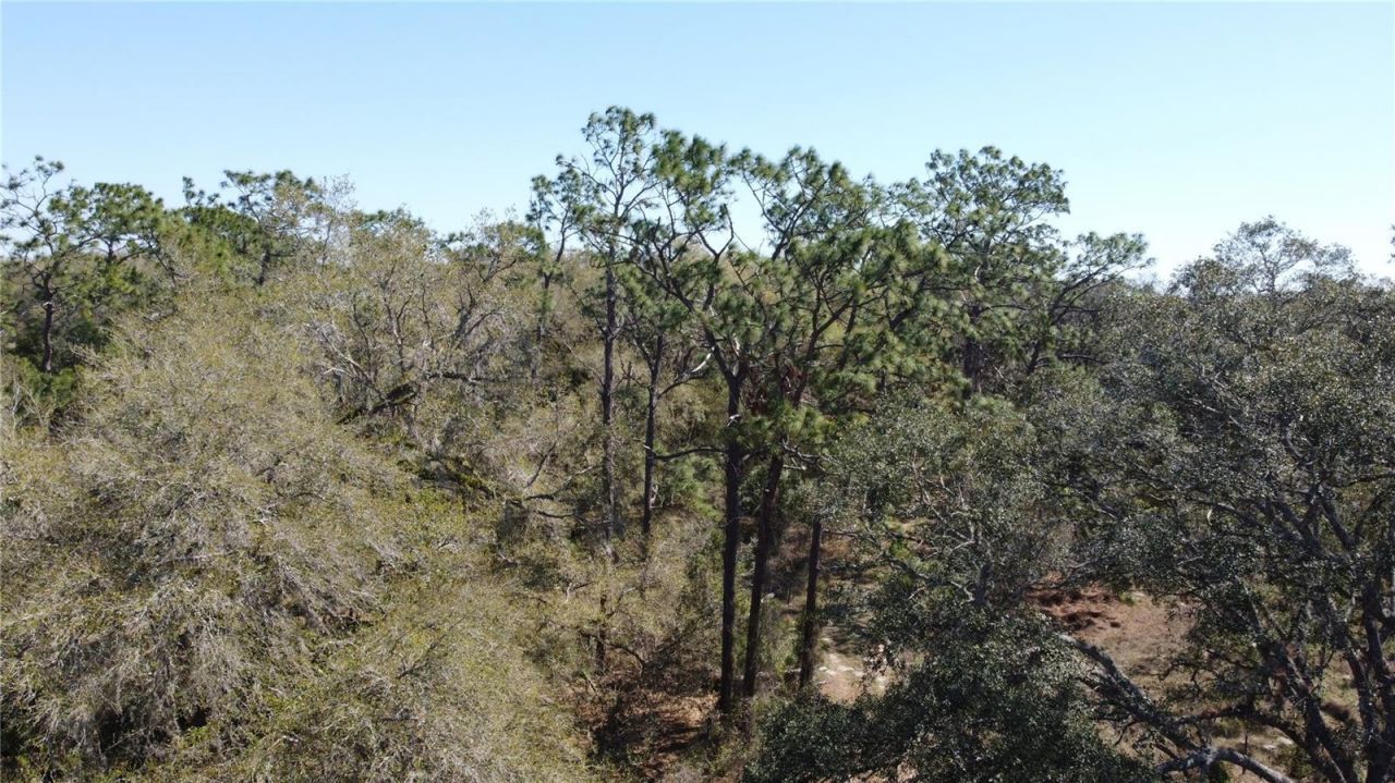 01 Unnamed, Spring Hill, FL 34610 Photo