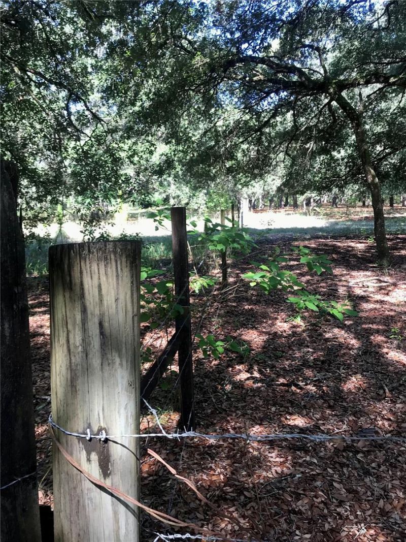 01 Unnamed, Spring Hill, FL 34610 Photo